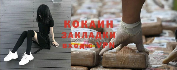 ПСИЛОЦИБИНОВЫЕ ГРИБЫ Абаза