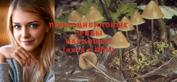 кокс Абинск