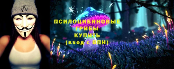 ПСИЛОЦИБИНОВЫЕ ГРИБЫ Абаза