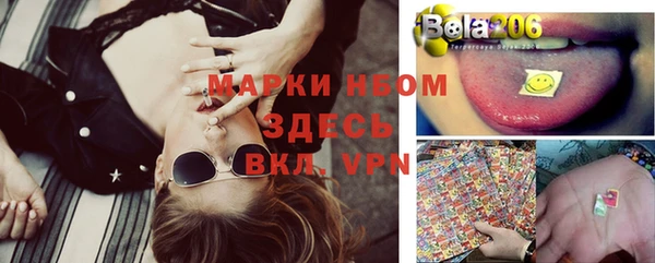 ПСИЛОЦИБИНОВЫЕ ГРИБЫ Абаза