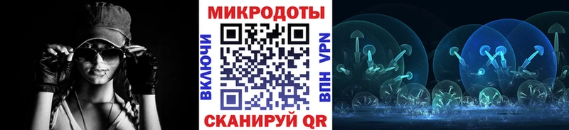 omg   Урус-Мартан  Псилоцибиновые грибы Psilocybe 