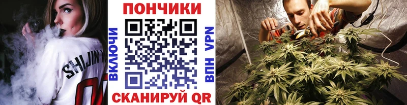 Канабис конопля  Урус-Мартан 